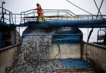 el-nino-is-here,-and-it’s-already-scrambling-fisheries-throughout-the-pacific