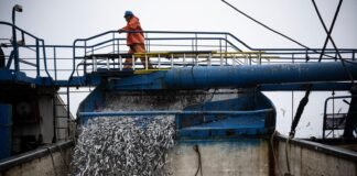 el-nino-is-here,-and-it’s-already-scrambling-fisheries-throughout-the-pacific