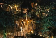 child-climbs-out-of-disneyland-ride-before-terrifying-50-foot-drop-(video)