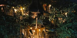 child-climbs-out-of-disneyland-ride-before-terrifying-50-foot-drop-(video)