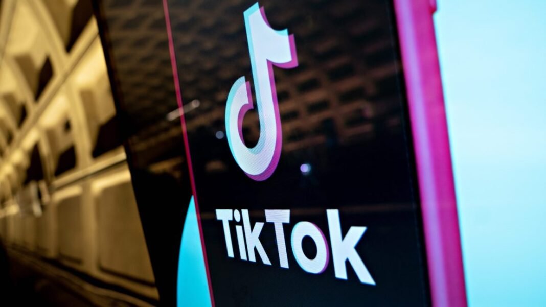 tiktok-users-don’t-have-as-much-agency-over-their-fyps-as-they-think
