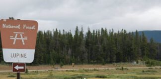overhaul-of-public-lands-grazing-regulations-seeks-to-cut-public-involvement