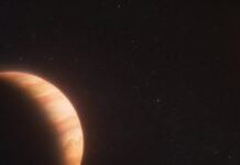 a-jupiter-size-planet-that-escaped-its-star’s-death