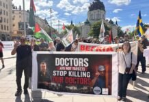 hundreds-in-sweden-protest-israeli-attacks,-ceasefire-violations-in-gaza