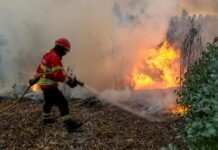 European Parliament approves €144.1 million in disaster aid for Spain, Romania and Cyprus european-parliament-approves-e144.1-million-in-disaster-aid-for-spain,-romania-and-cyprus