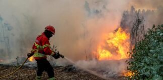european-parliament-approves-e144.1-million-in-disaster-aid-for-spain,-romania-and-cyprus