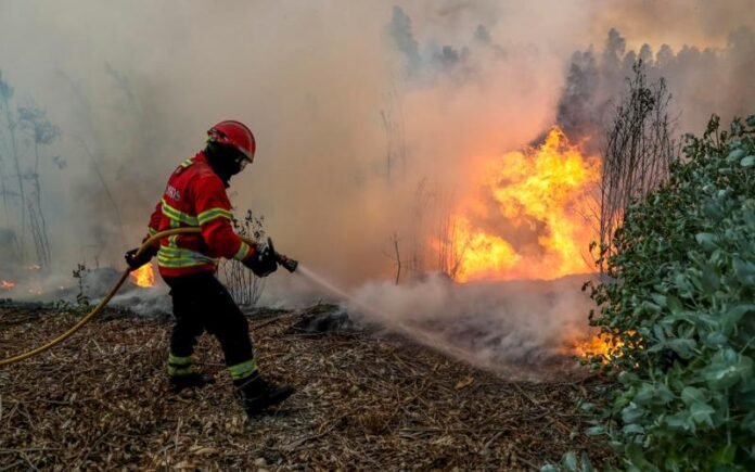 european-parliament-approves-e144.1-million-in-disaster-aid-for-spain,-romania-and-cyprus