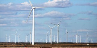 ‘why-take-those-jobs-away?’:-the-unionized-workers-decrying-trump’s-war-on-wind