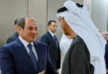 Egypt, UAE Presidents Discuss Regional Tensions, Bilateral Ties egypt,-uae-presidents-discuss-regional-tensions,-bilateral-ties