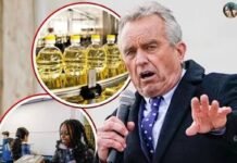 US MAHA war on seed oils could benefit Asian palm and coconut oil us-maha-war-on-seed-oils-could-benefit-asian-palm-and-coconut-oil