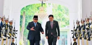 indonesia-singapore-reset-marks-new-era-of-asean-transactionalism