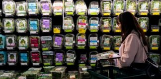 Probe into explosive diarrheal cases points to Taco Bell and bad lettuce probe-into-explosive-diarrheal-cases-points-to-taco-bell-and-bad-lettuce