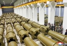Prepare for wild and dangerous scenarios on the Korean Peninsula prepare-for-wild-and-dangerous-scenarios-on-the-korean-peninsula