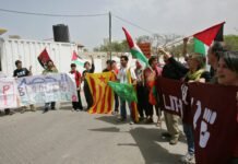 Palestinian NGOs at Odds with European Donors, Reject Peace Efforts in Joint Statement palestinian-ngos-at-odds-with-european-donors,-reject-peace-efforts-in-joint-statement