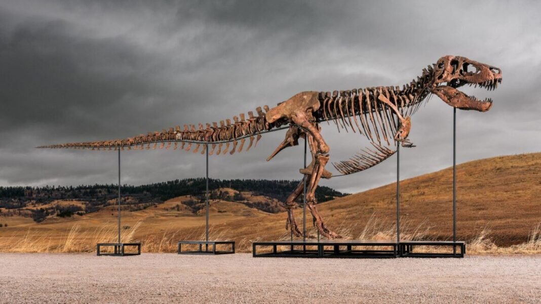 sotheby’s-big-t.-rex-auction-raises-concerns-hype-and-wealth-are-upending-science