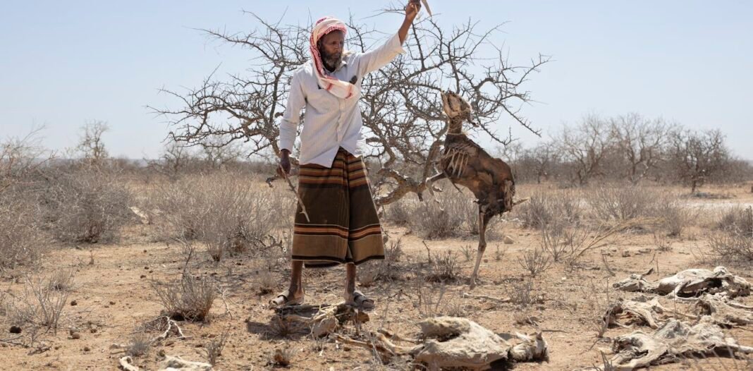 africa’s-greater-horn-region-is-facing-a-looming-polycrisis-fueled-by-conflict,-prices,-climate-and-disease