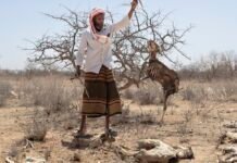 africa’s-greater-horn-region-is-facing-a-looming-polycrisis-fueled-by-conflict,-prices,-climate-and-disease