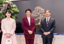 Japan Imperial Household law to permit adoption from cadet branch japan-imperial-household-law-to-permit-adoption-from-cadet-branch