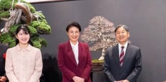 japan-imperial-household-law-to-permit-adoption-from-cadet-branch