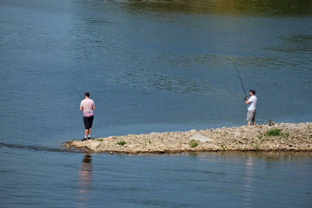 five-people-die-trying-to-save-struggling-swimmer