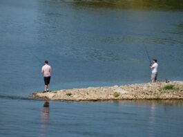 five-people-die-trying-to-save-struggling-swimmer