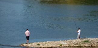 five-people-die-trying-to-save-struggling-swimmer
