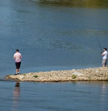 five-people-die-trying-to-save-struggling-swimmer