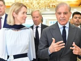Why Europe needs Pakistan now more than ever why-europe-needs-pakistan-now-more-than-ever