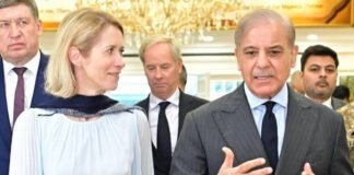 why-europe-needs-pakistan-now-more-than-ever