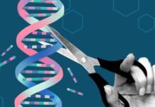team-uses-alphafold-ai-to-redesign-gene-editing-proteins-to-make-them-safer