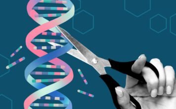 Team uses AlphaFold AI to redesign gene-editing proteins to make them safer team-uses-alphafold-ai-to-redesign-gene-editing-proteins-to-make-them-safer