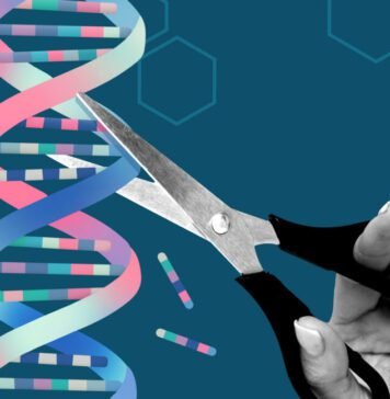Team uses AlphaFold AI to redesign gene-editing proteins to make them safer team-uses-alphafold-ai-to-redesign-gene-editing-proteins-to-make-them-safer