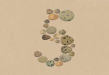 anthropic’s-opus-5-is-about-token-efficiency,-not-a-capability-leap
