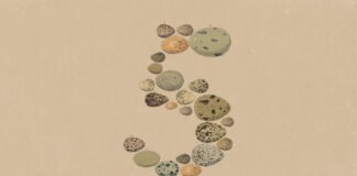 anthropic’s-opus-5-is-about-token-efficiency,-not-a-capability-leap