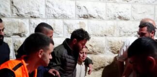 the-spark-in-tell:-how-a-village-resistance-disrupted-israel’s-west-bank-strategy