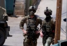 Nablus: When the killer becomes the victim nablus:-when-the-killer-becomes-the-victim