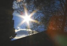 ep-greens-highlight-10-climate-solutions-as-europe-faces-rising-heat-and-extreme-weather