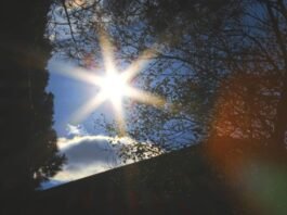 ep-greens-highlight-10-climate-solutions-as-europe-faces-rising-heat-and-extreme-weather
