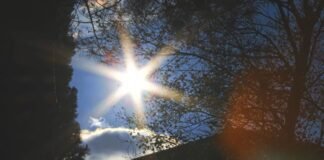 ep-greens-highlight-10-climate-solutions-as-europe-faces-rising-heat-and-extreme-weather