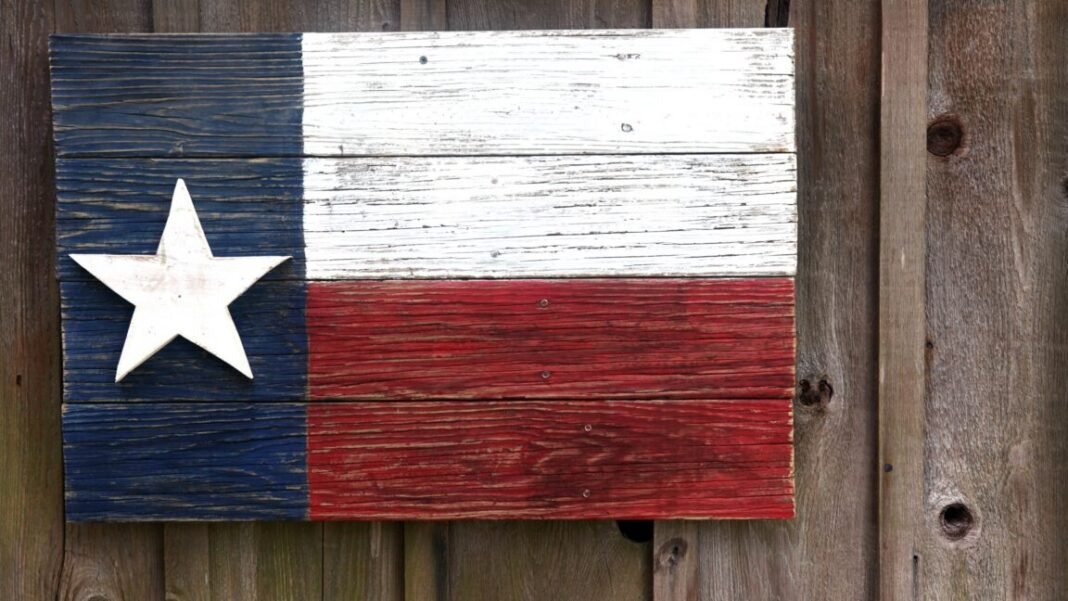5th-circuit-blocks-texas-law-requiring-websites-to-filter-“harmful”-speech