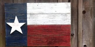 5th-circuit-blocks-texas-law-requiring-websites-to-filter-“harmful”-speech