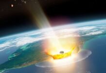 study:-dinosaurs-were-charbroiled-after-chicxulub-impact