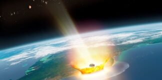 study:-dinosaurs-were-charbroiled-after-chicxulub-impact
