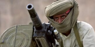 beyond-the-skull:-debunking-the-myth-of-the-natural-born-terrorist