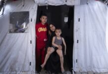 un-warns-of-‘major-public-health-risks’-in-gaza-as-83%-of-displacement-sites-report-infestations