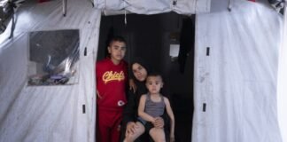 un-warns-of-‘major-public-health-risks’-in-gaza-as-83%-of-displacement-sites-report-infestations