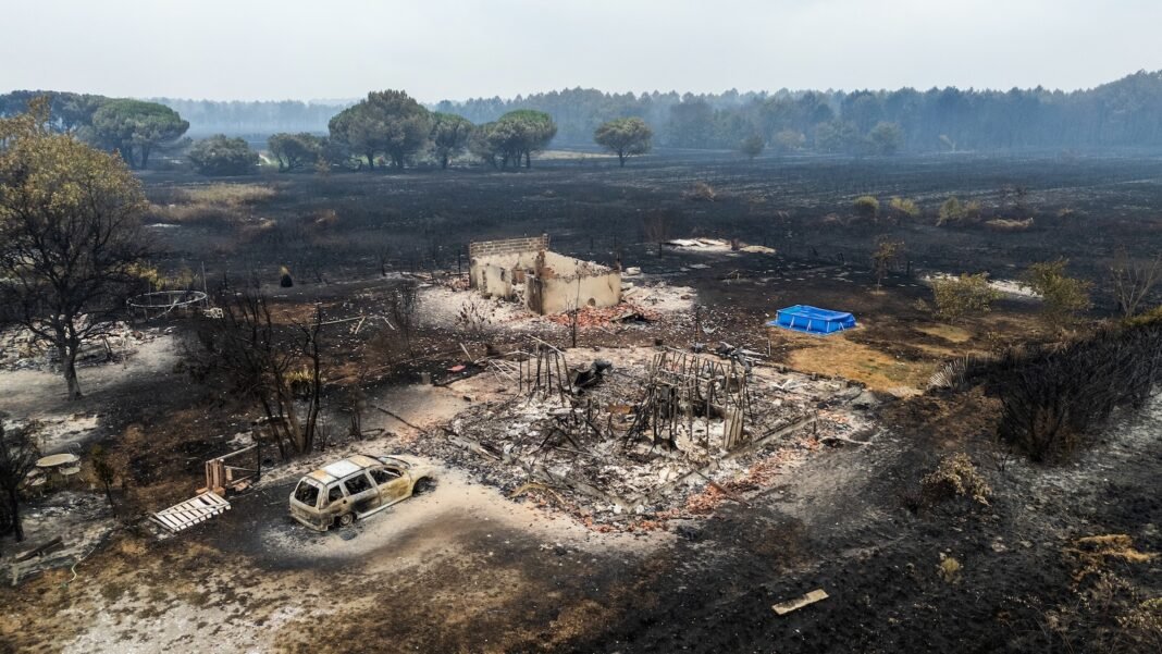 here’s-what-supercharged-the-monster-wildfires-in-spain-and-france here’s-what-supercharged-the-monster-wildfires-in-spain-and-france