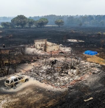 here’s-what-supercharged-the-monster-wildfires-in-spain-and-france