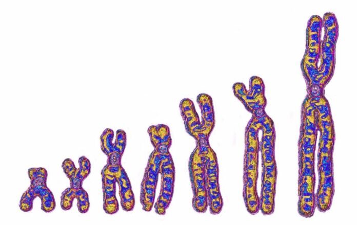 not-just-neanderthals:-ghost-lineage-in-africa-left-its-mark-on-our-dna