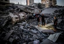 egyptian-foreign-minister,-board-of-peace-envoy-discuss-next-phase-of-gaza-ceasefire